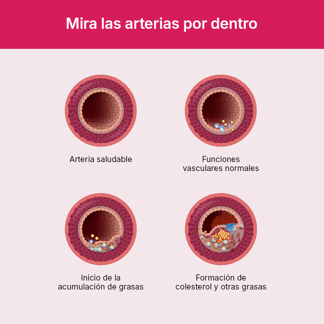 Imagen del producto 8